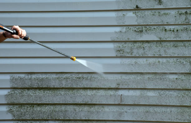 Best Gutter Cleaning and Brightening in White Plains, NC